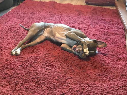 2003F121-1789-4774-BE36-49B6E1D973A6