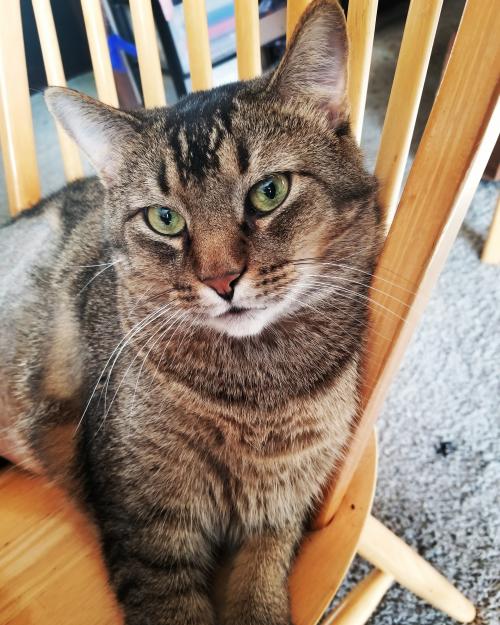 01:36:22 GMT-0500 (CDT)