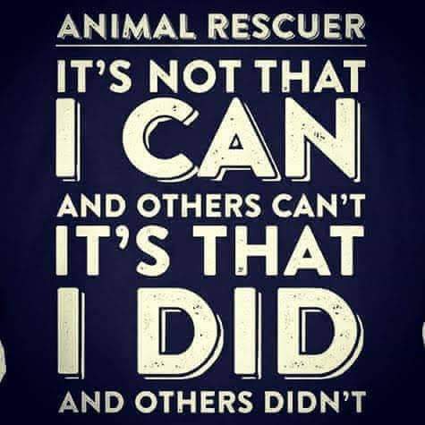 14:29:14 GMT+0200 (CEST)