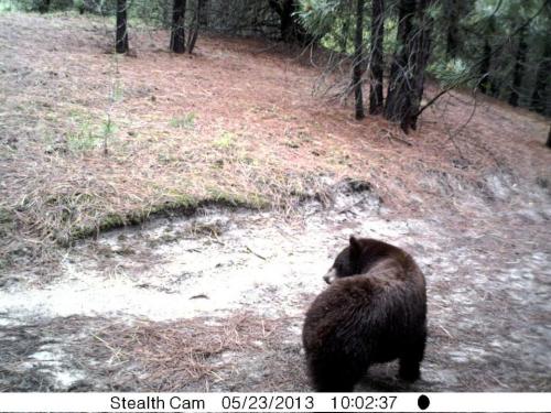 936213_10201232733118975_1729512683_n_10201232733118975