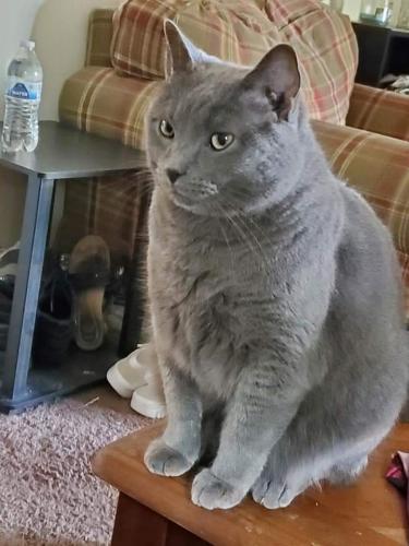 15:21:48 GMT-0400 (EDT)