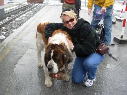 With St Bernard