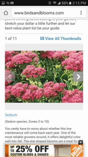 20247916_10203382692283954_2316243781394123041_o_10203382692283954