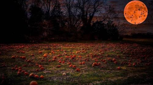 20:40:32 GMT-0400 (EDT)