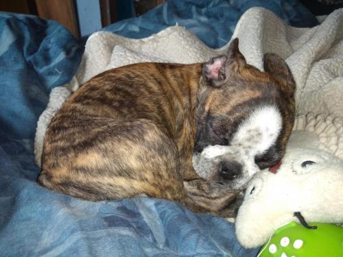 11:08:14 GMT-0500 (CDT)