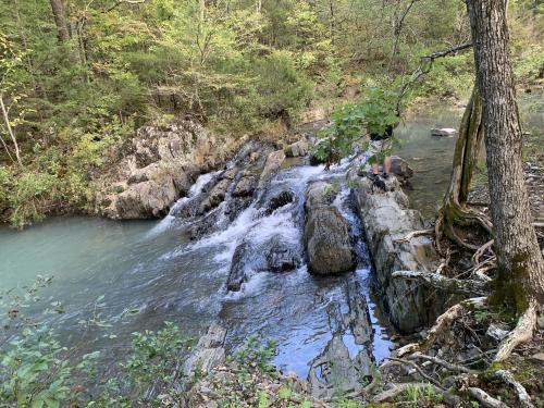 62302169059__856A4233-23B4-4783-9EE7-9EB56571D6CB