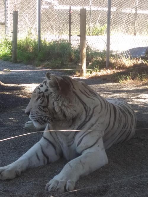 18:10:24 GMT-0700 (PDT)