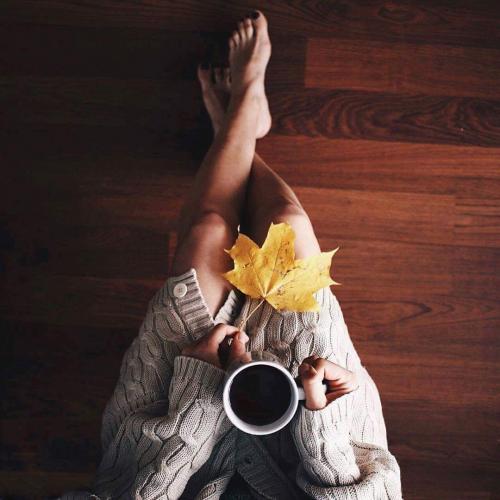 14608778_10202133053723771_5786168249769394842_o_10202133053723771