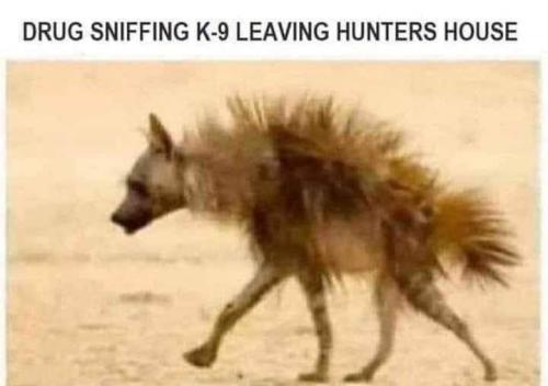 15:12:57 GMT-0400 (EDT)