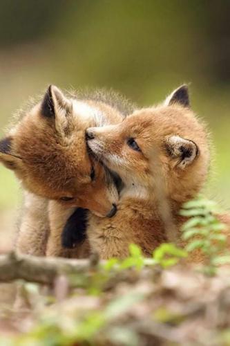 00:22:06 GMT-0500 (CDT)