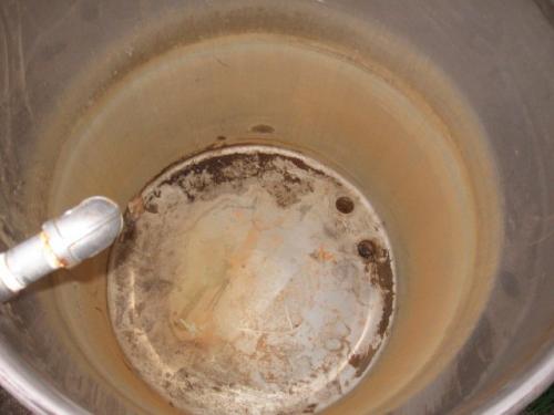 73680_1705892365733_6356332_n_1705892365733