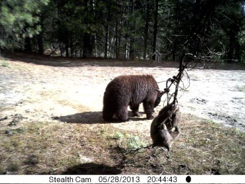 969151_10201513531178751_102791604_n_10201513531178751