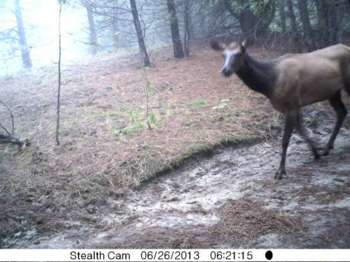 944715_10201513529218702_737752937_n_10201513529218702