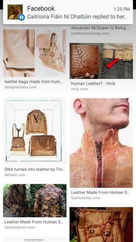 95015202_2770023146599973_8557343714438021120_n