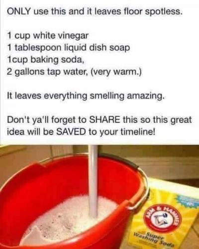 20258177_10203382673483484_7005023303560047626_n_10203382673483484