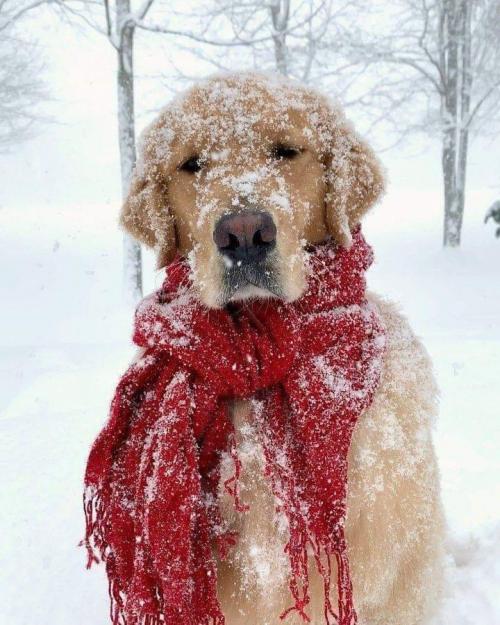 363a2b47-4b53-4bda-9323-cd710d922472