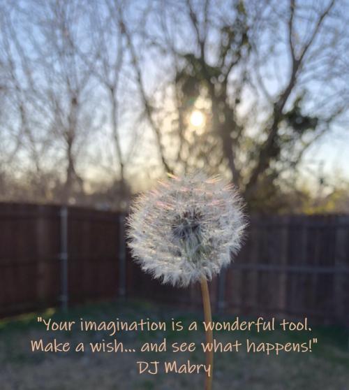 Make a wish + quote