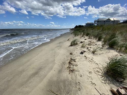 0A410747-3099-4A6D-8354-F5B065DCFDD4