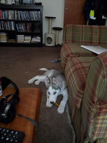 13:09:24 GMT-0400 (EDT)