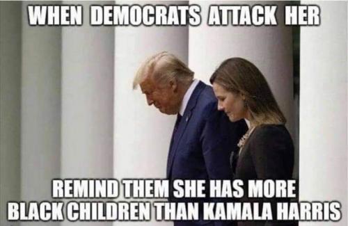 When Democrats attack her