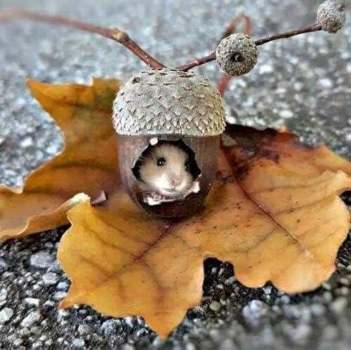 06:53:20 GMT-0500 (CDT)