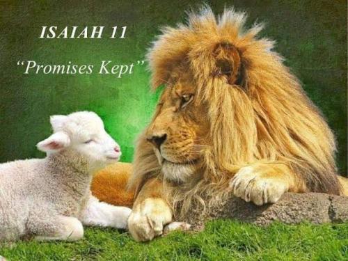 07:11:40 GMT+0530 (IST)