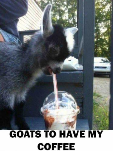 18425338_10203038550560626_1119837315760822604_n_10203038550560626