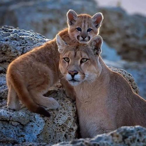 07:02:59 GMT-0500 (CDT)