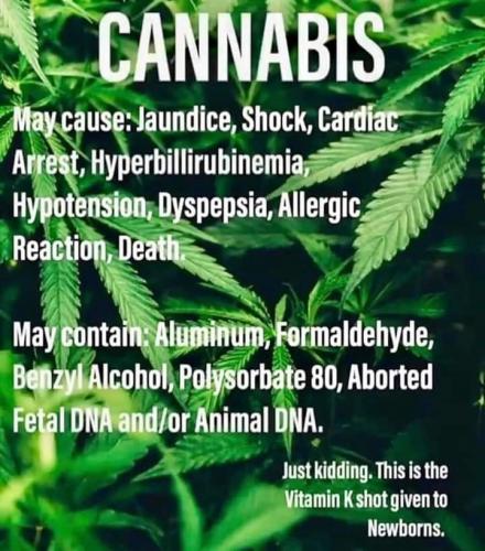 FB_IMG_1595483249152