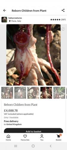 109624937_2843467495922204_5943618711162370188_o