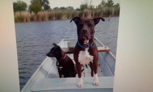 73155713_552145068870550_1382177826551103488_o (2)