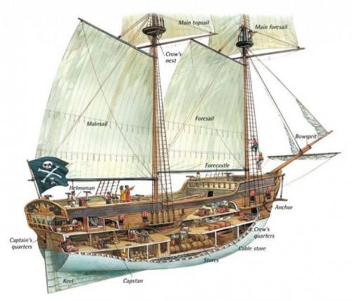 ship cutaway