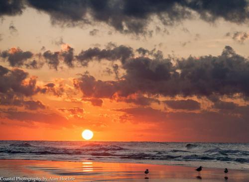 wimkin background pic