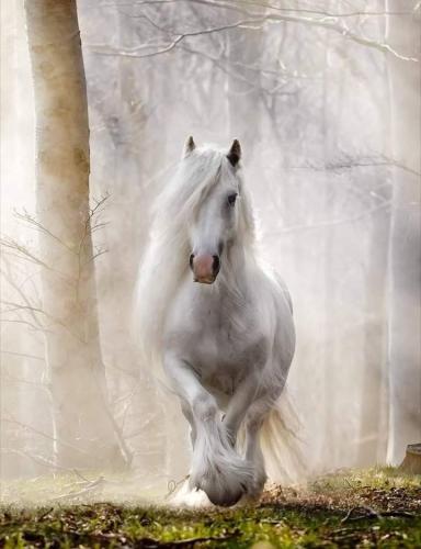 13:55:15 GMT-0500 (CDT)