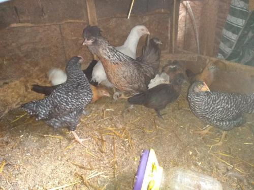 12:54:03 GMT-0500 (CDT)