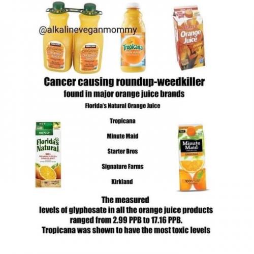 FB_IMG_1598975428933