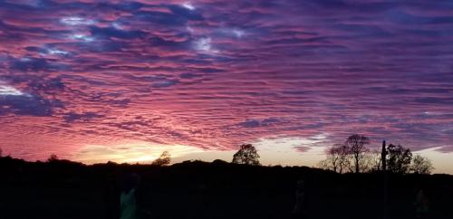 12:35:05 GMT-0500 (CDT)