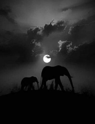 22:20:07 GMT-0500 (CDT)