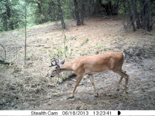 943304_10201513527738665_660800813_n_10201513527738665