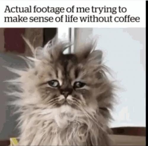 11:58:53 GMT-0500 (CDT)