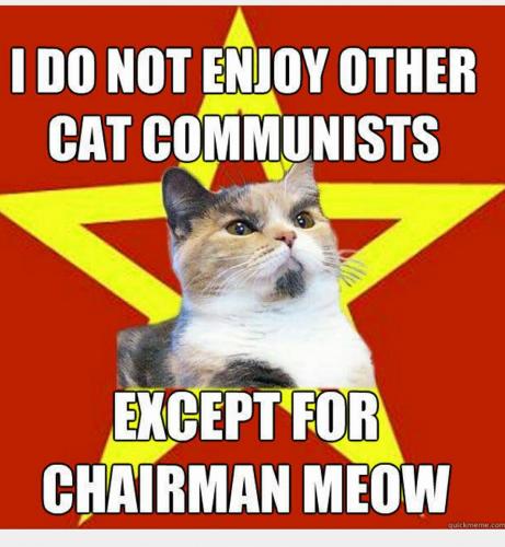 14089315_10201950363516630_1019789532154969319_n_10201950363516630