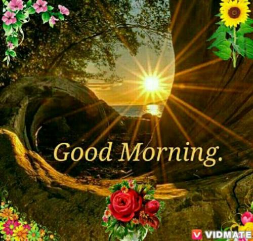 ecd98899672bef7ca559205613c14456