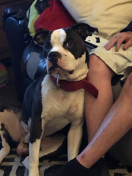 06:13:49 GMT-0500 (CDT)