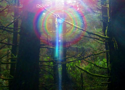 rainbow merge