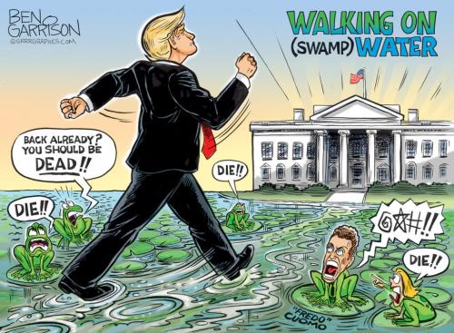 Swamp Water