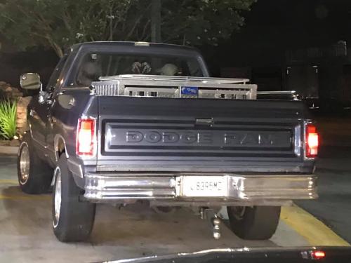 118785145_2694046180912960_5502763748959262632_n_2694046170912961