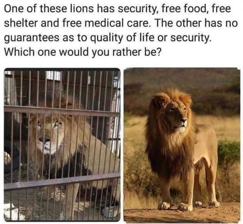 22:25:07 GMT-0500 (CDT)