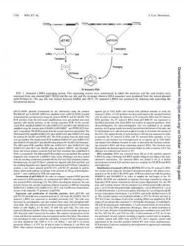 16:51:11 GMT+0100 (BST)