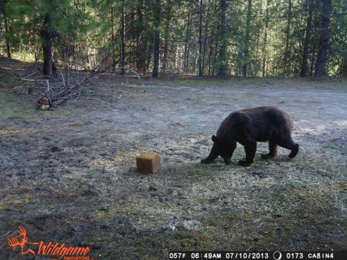 1005777_10201668851061651_643752177_n_10201668851061651