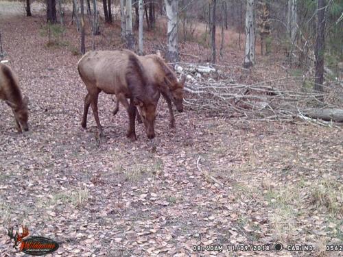 47181777_10217827187569965_5456972428804620288_o_10217827187529964